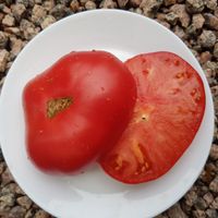 Baba Shura (Gumma Shura)